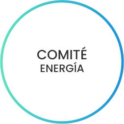 comite3