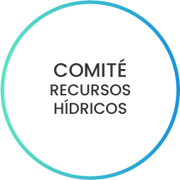 comite4