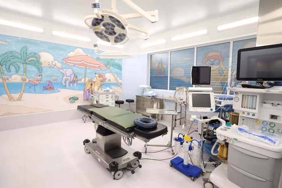 Gobierno logra acuerdo con OHLA por hospitales en Biobío. Imagen referencial.