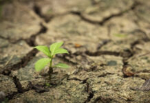 Resiliencia climática