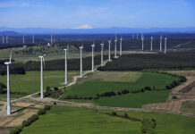 Acciona energía lidera proyecto que usa inteligencia artificial para ampliar la capacidad de transmisión eléctrica
